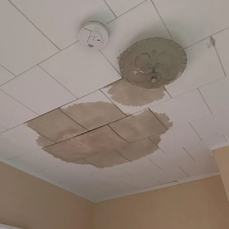 Ceiling Water Damage Repair in Millbury, MA